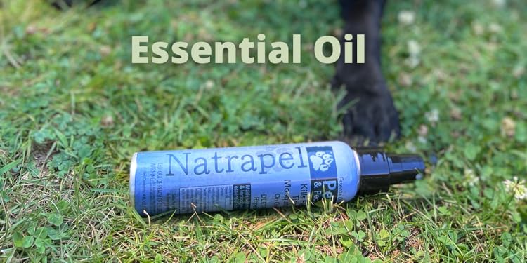 Natrapel ：Safe Outdoor Repellents for Family